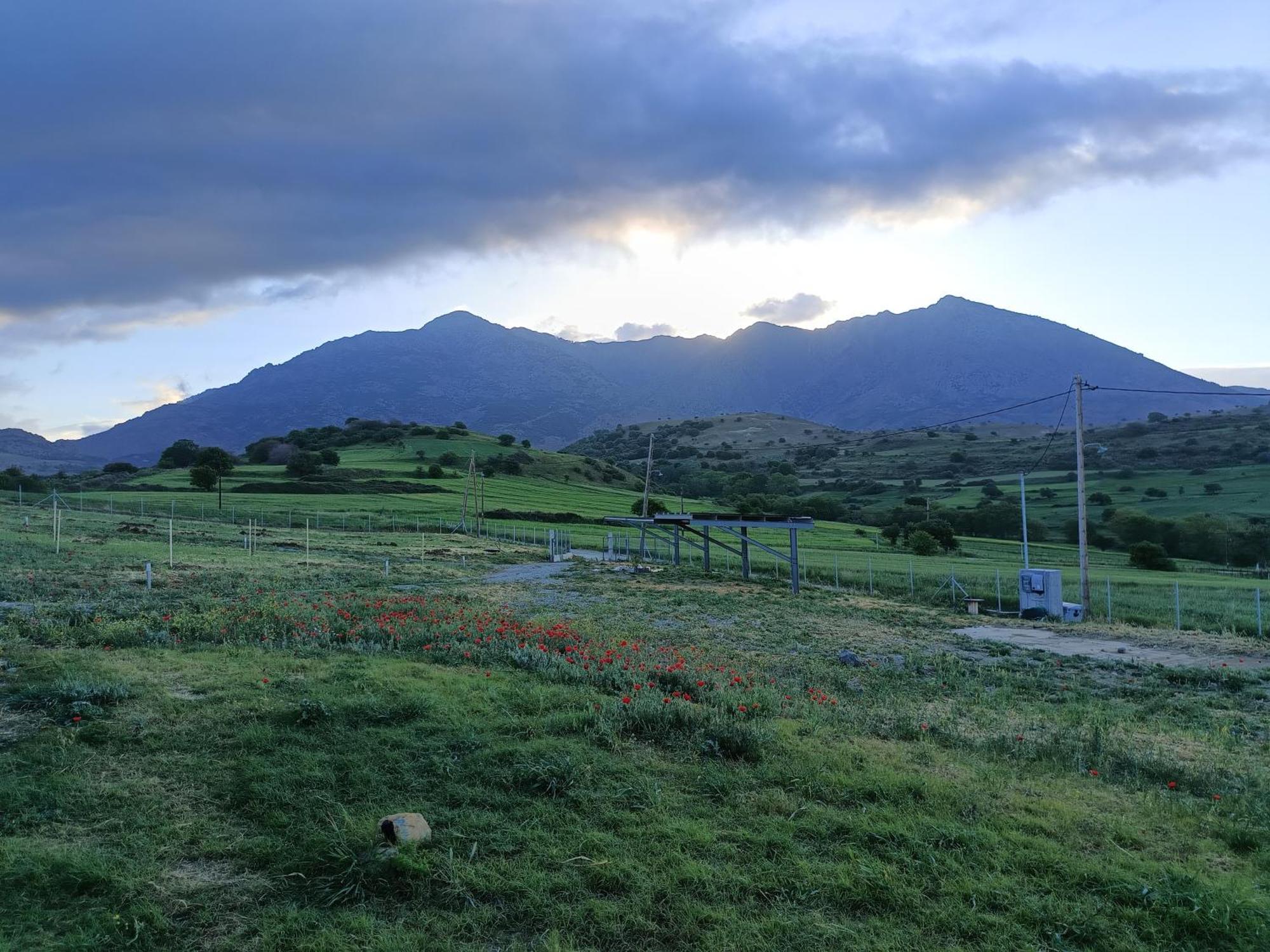 Pezoulia Cottages ซาโมทราคี ภายนอก รูปภาพ